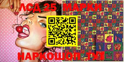 дмт Краснодар