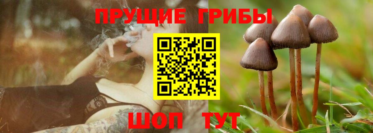 Псилоцибиновые грибы прущие грибы Ухта